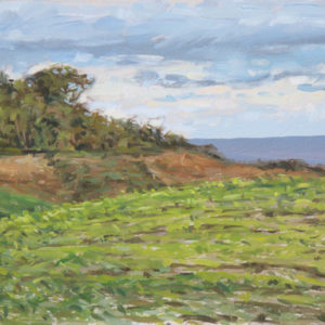 2017-24-Oil-Landscape-Sonia-Roji-Cornfields-in-July