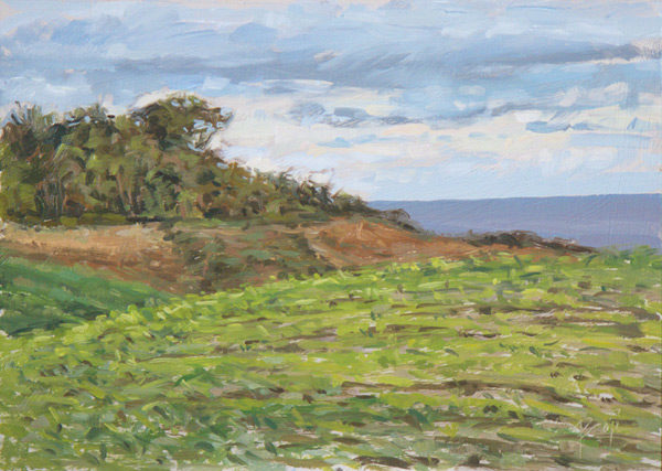 2017-24-Oil-Landscape-Sonia-Roji-Cornfields-in-July