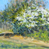 2018-121-Oil-Hawthorn-in-Bloom