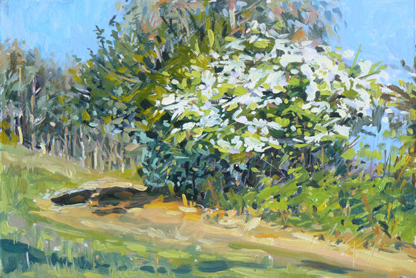 2018-121-Oil-Hawthorn-in-Bloom