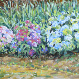 2018-135-Oil-Corn-and-Hydrangeas