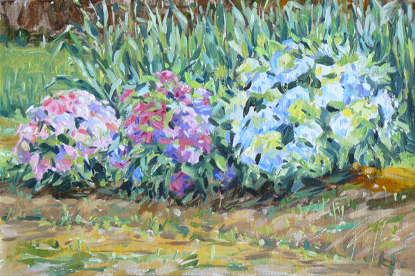 2018-135-Oil-Corn-and-Hydrangeas